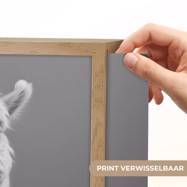 Lightbox - Wandlamp - Alpaca - Pasta - Zwart - Wit - Grappig - Dieren — 5