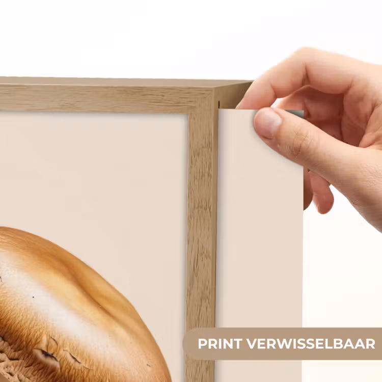 Lightbox - Wandlamp - Champignons - Zacht - Beige — 5