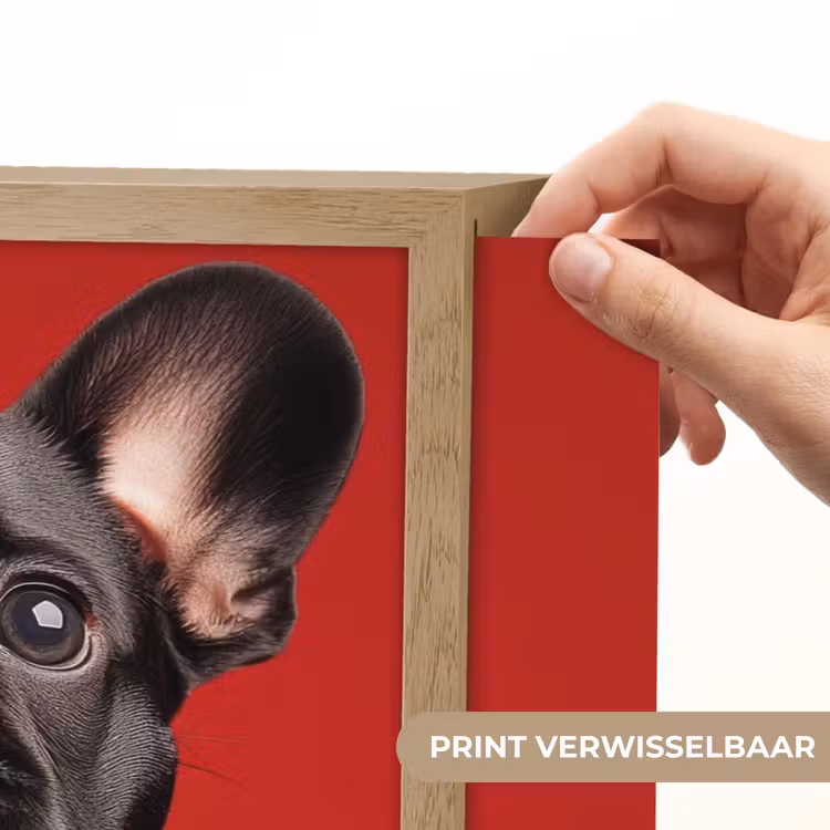 Lightbox - Wandlamp - Amor - Hond - Hartje - Rood — 5