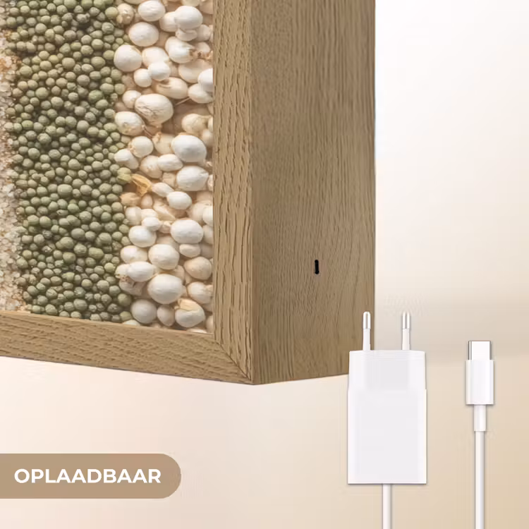 Lightbox - Wandlamp - Banen - Verticaal - Kruiden - Variatie — 7