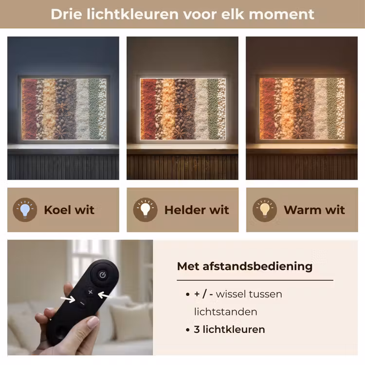 Lightbox - Wandlamp - Banen - Verticaal - Kruiden - Variatie — 8