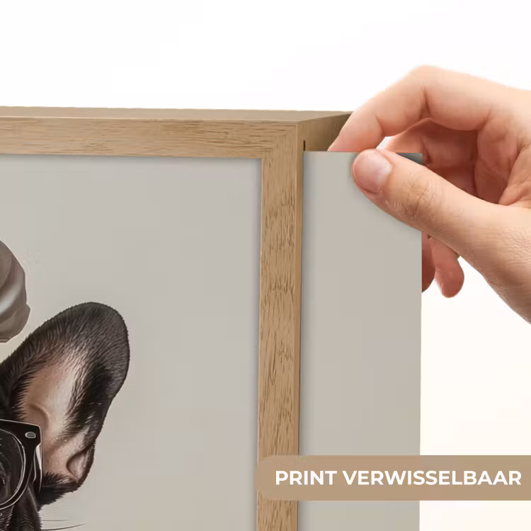 Lightbox - Wandlamp - Bril - Hond - Kok — 5