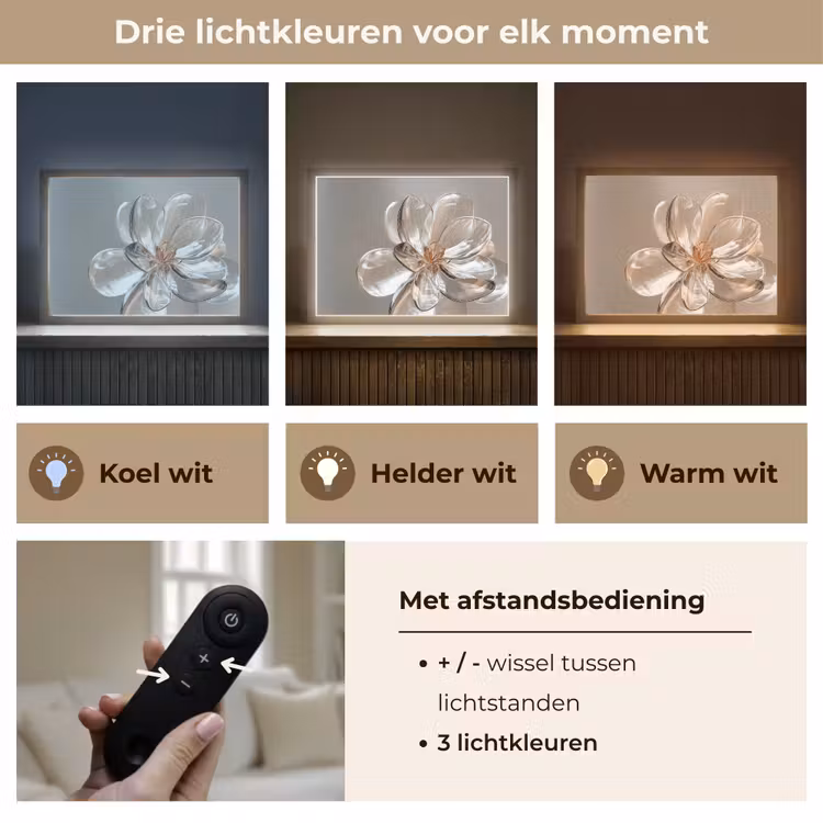 Lightbox - Wandlamp - Bloem - Glazen - Doorzichtig — 8