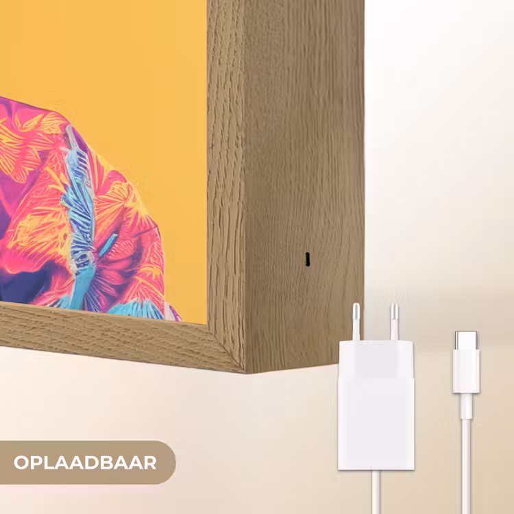Lightbox - Wandlamp - Aap - Kimono - Bloemen - Hoofdtooi — 7