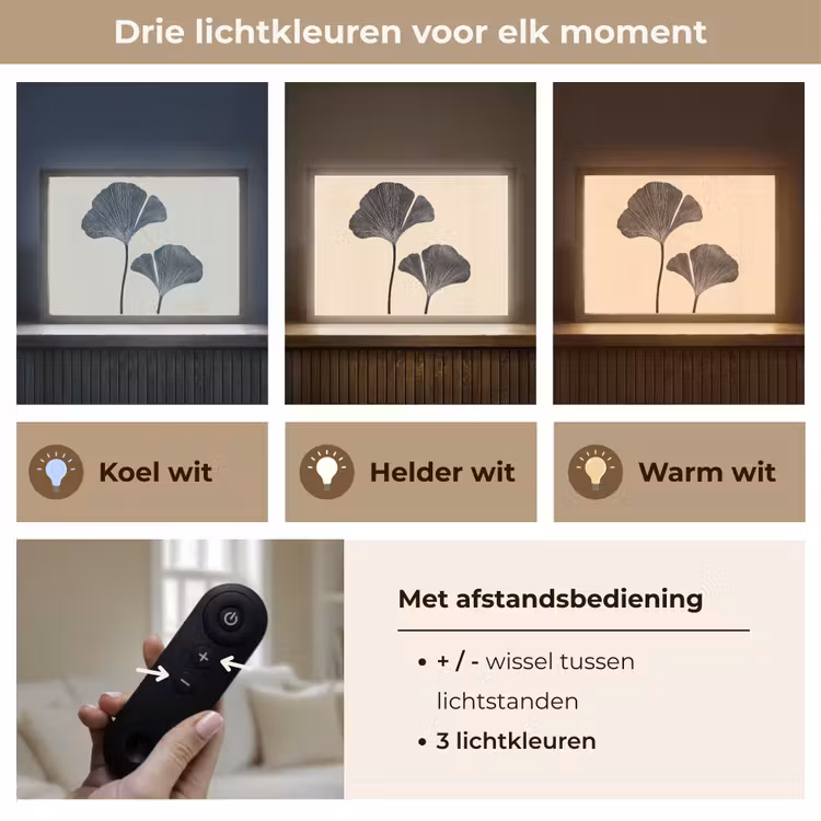 Lightbox - Wandlamp - Bladeren - Minimalistisch - Zwart — 8