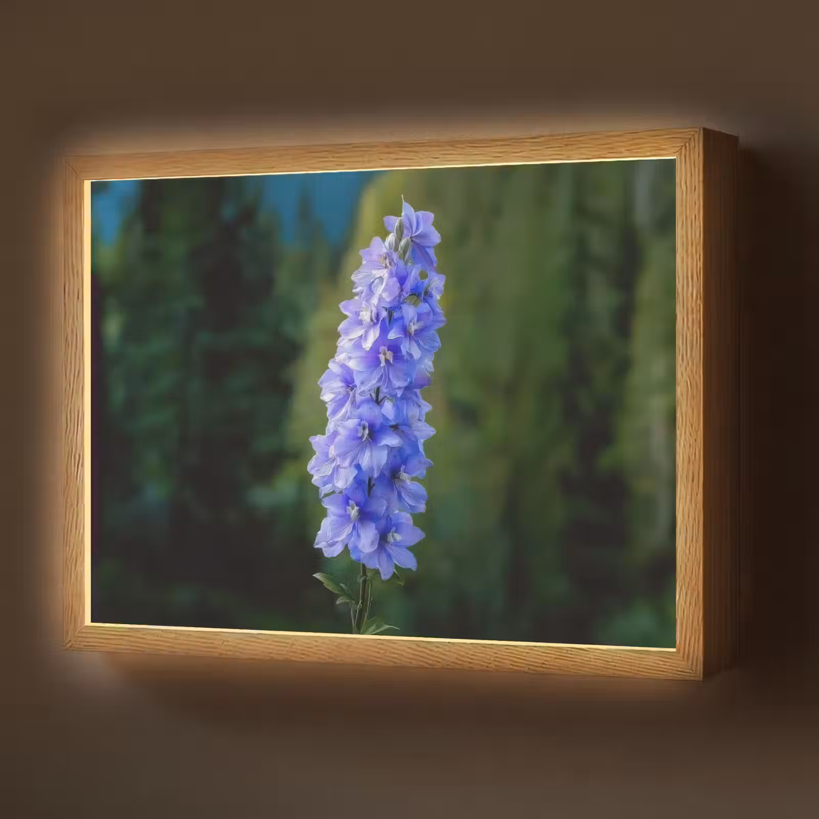 Lightbox - Wandlamp - Bloemen - Blauw - Dennenboom — 1