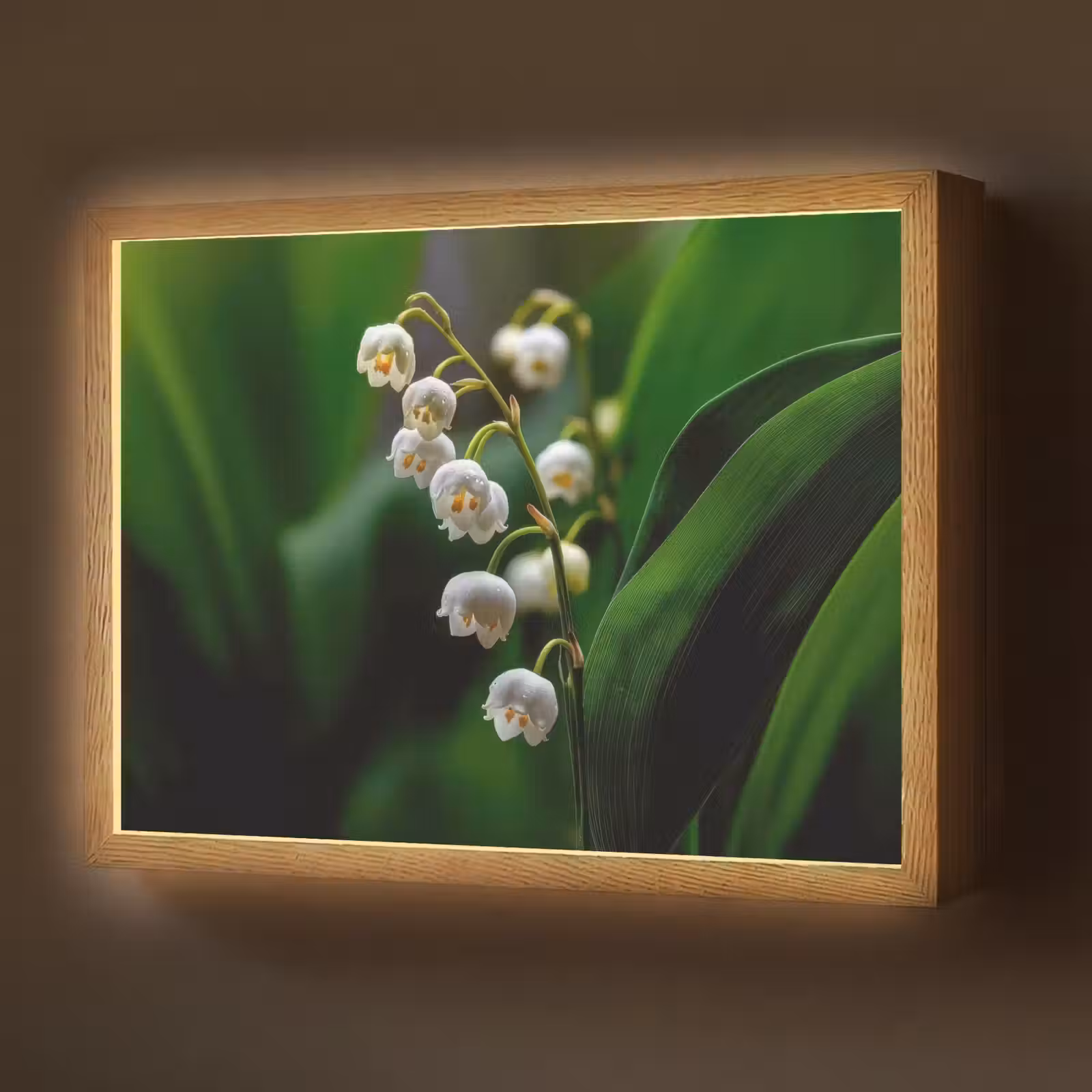 Lightbox - Wandlamp - Bloemen - Wit - Bladeren - Lelietjes — 1