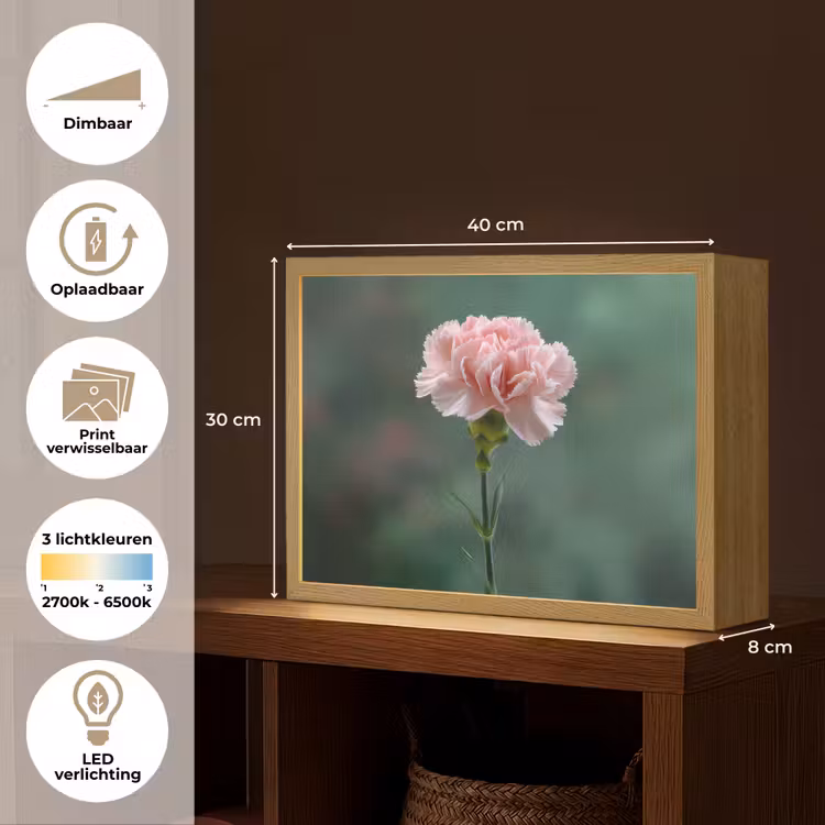 Lightbox - Wandlamp - Anjer - Roze - Bloemblaadjes — 10