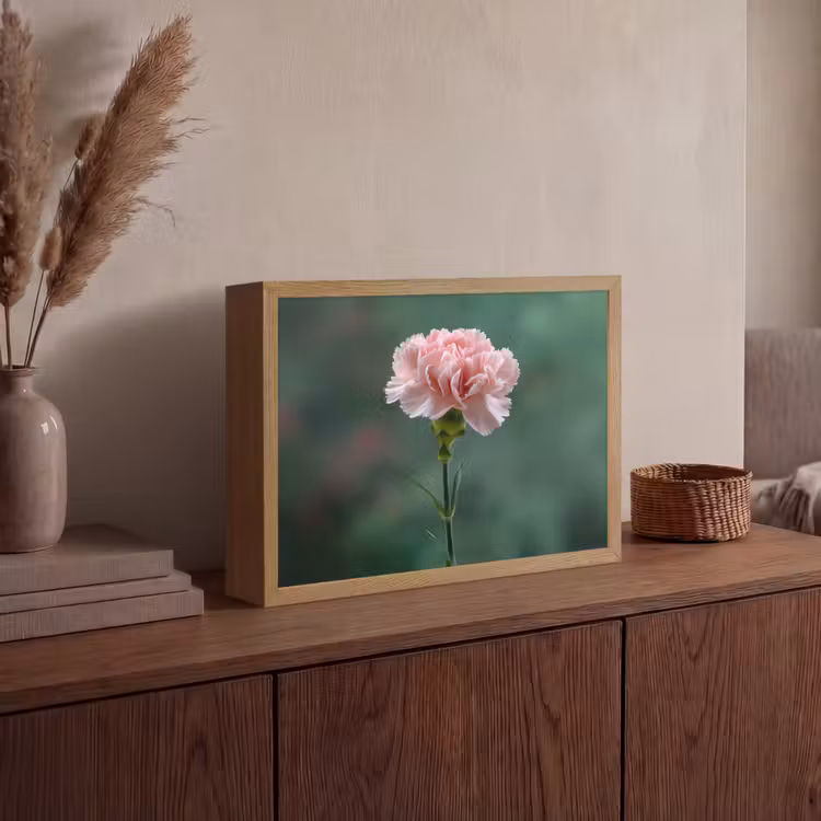 Lightbox - Wandlamp - Anjer - Roze - Bloemblaadjes — 4