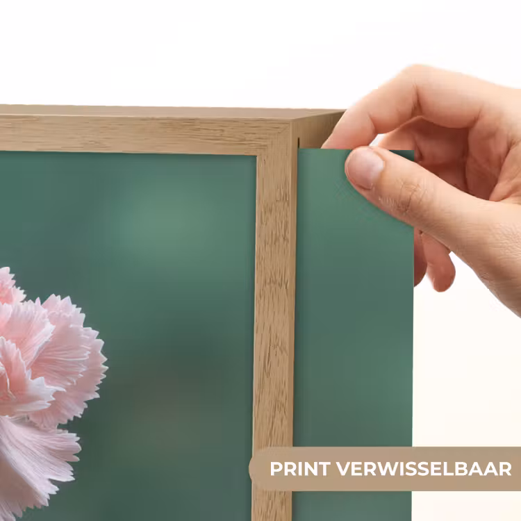 Lightbox - Wandlamp - Anjer - Roze - Bloemblaadjes — 5