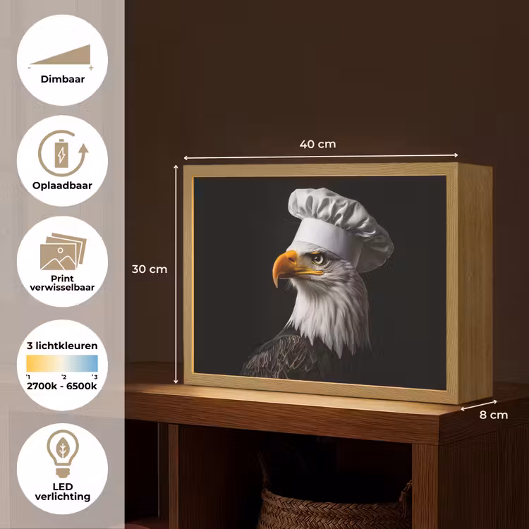 Lightbox - Wandlamp - Arend -Amerika - Koksmuts - Vogel - Stoer — 10