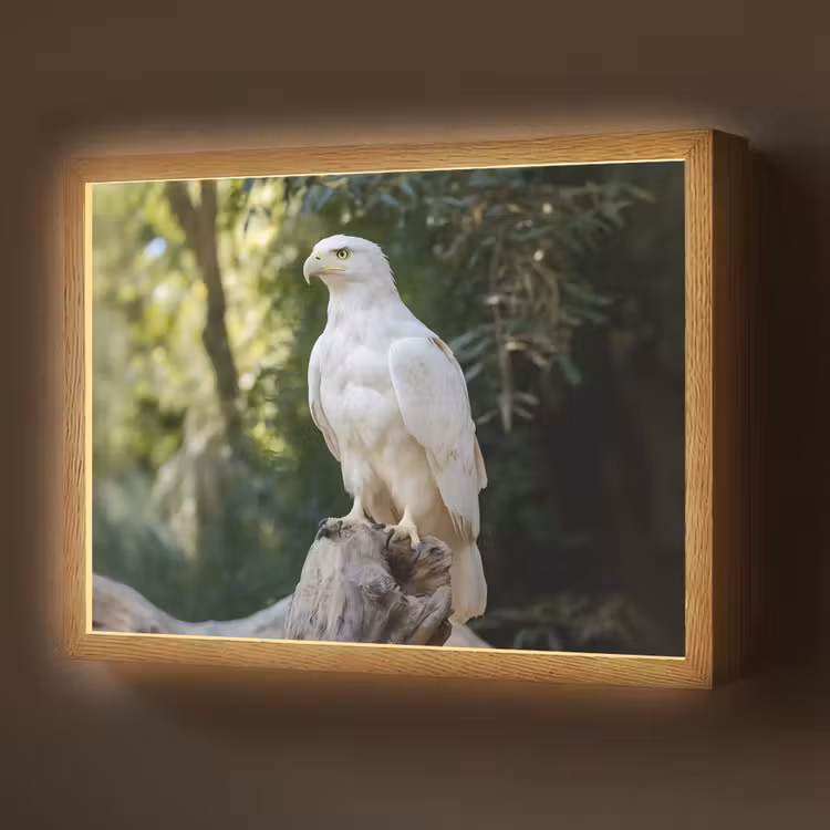 Lightbox - Wandlamp - Arend - Hout - Wit - Planten — 1