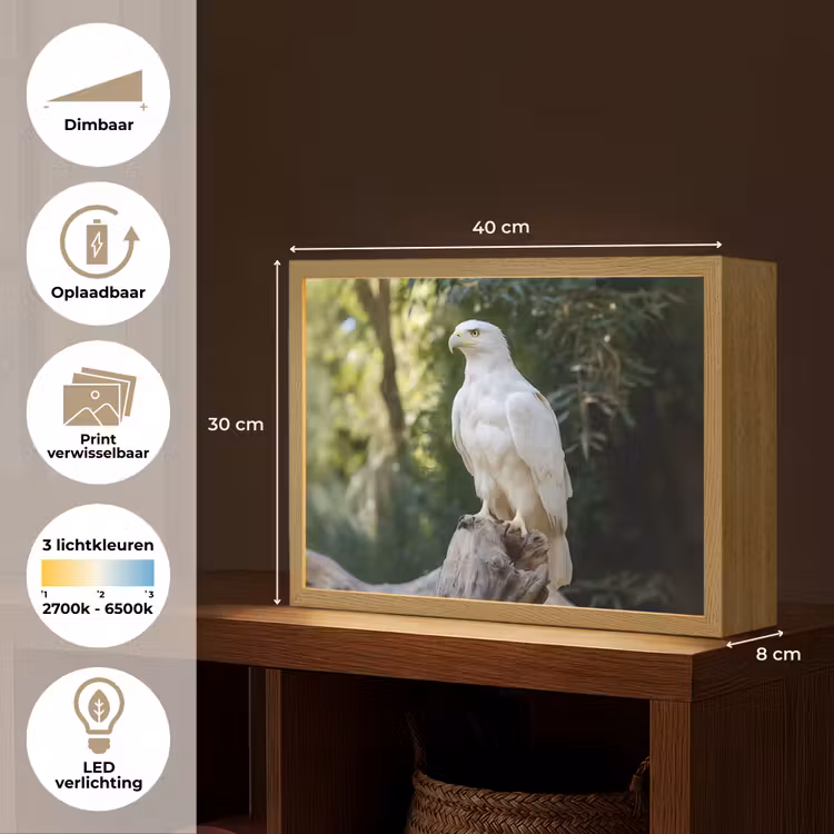 Lightbox - Wandlamp - Arend - Hout - Wit - Planten — 10