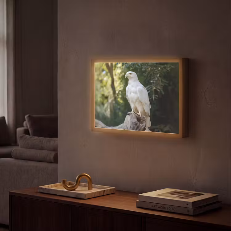 Lightbox - Wandlamp - Arend - Hout - Wit - Planten — 2