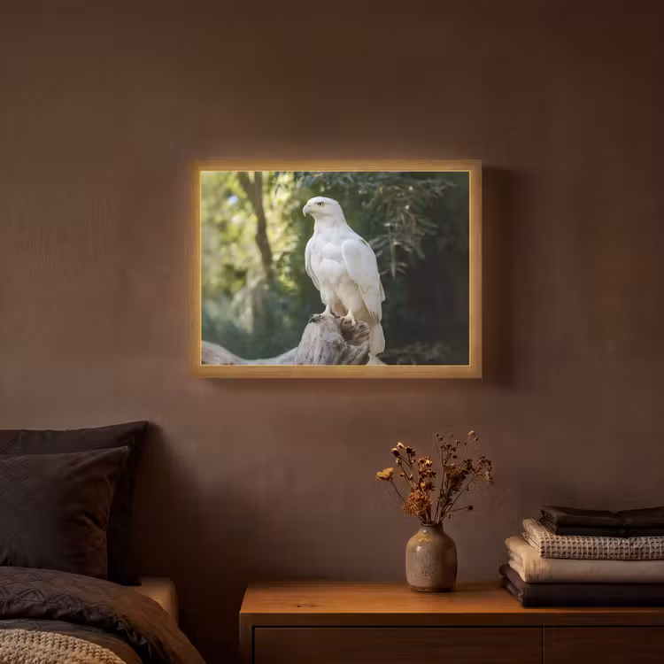 Lightbox - Wandlamp - Arend - Hout - Wit - Planten — 3