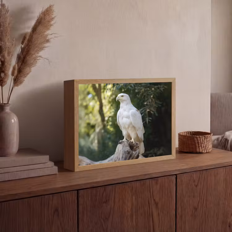 Lightbox - Wandlamp - Arend - Hout - Wit - Planten — 4