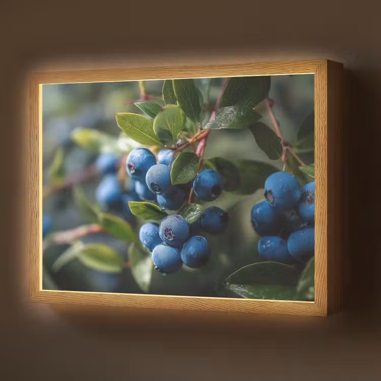 Lightbox - Wandlamp - Blauwe bessen - Dauwdruppels - Natuurlijk licht — 1