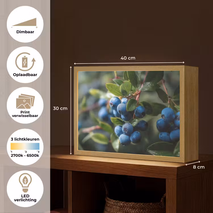 Lightbox - Wandlamp - Blauwe bessen - Dauwdruppels - Natuurlijk licht — 10