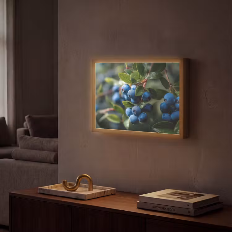 Lightbox - Wandlamp - Blauwe bessen - Dauwdruppels - Natuurlijk licht — 2