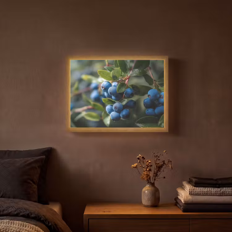 Lightbox - Wandlamp - Blauwe bessen - Dauwdruppels - Natuurlijk licht — 3