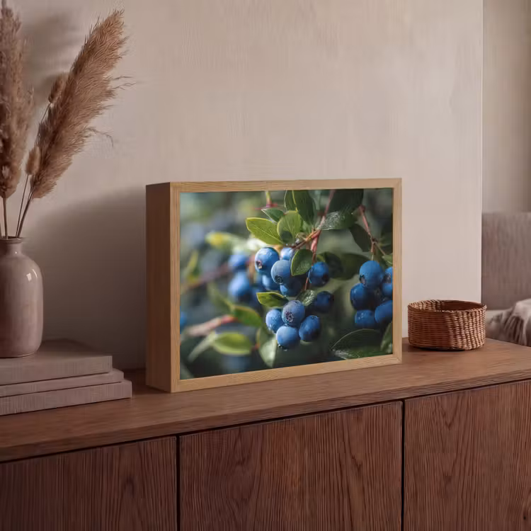 Lightbox - Wandlamp - Blauwe bessen - Dauwdruppels - Natuurlijk licht — 4