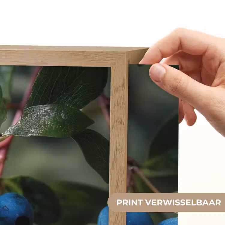 Lightbox - Wandlamp - Blauwe bessen - Dauwdruppels - Natuurlijk licht — 5