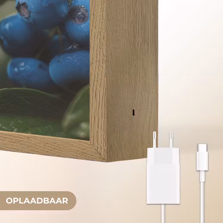 Lightbox - Wandlamp - Blauwe bessen - Dauwdruppels - Natuurlijk licht — 7