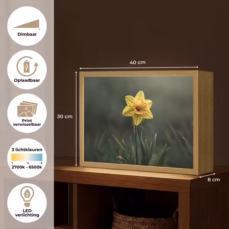 Lightbox - Wandlamp - Bloem - Narcis - Gras - Geel — 10