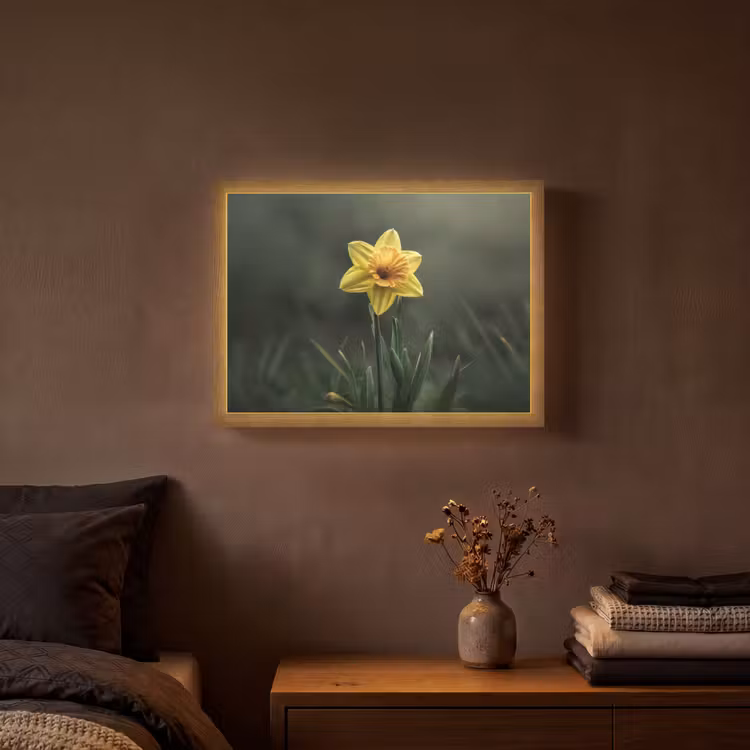 Lightbox - Wandlamp - Bloem - Narcis - Gras - Geel — 3