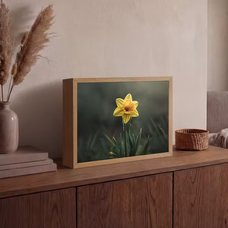 Lightbox - Wandlamp - Bloem - Narcis - Gras - Geel — 4