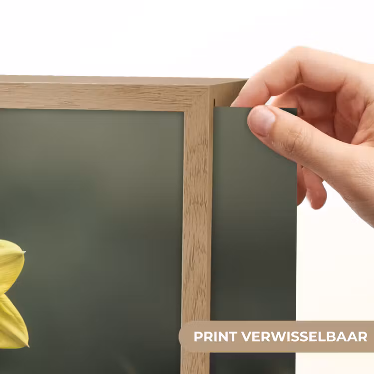 Lightbox - Wandlamp - Bloem - Narcis - Gras - Geel — 5