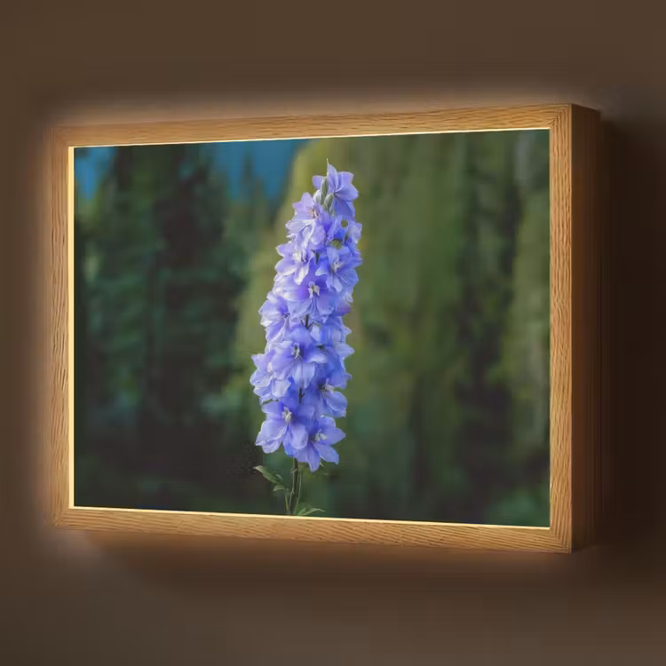 Lightbox - Wandlamp - Bloemen - Blauw - Dennenboom — 1