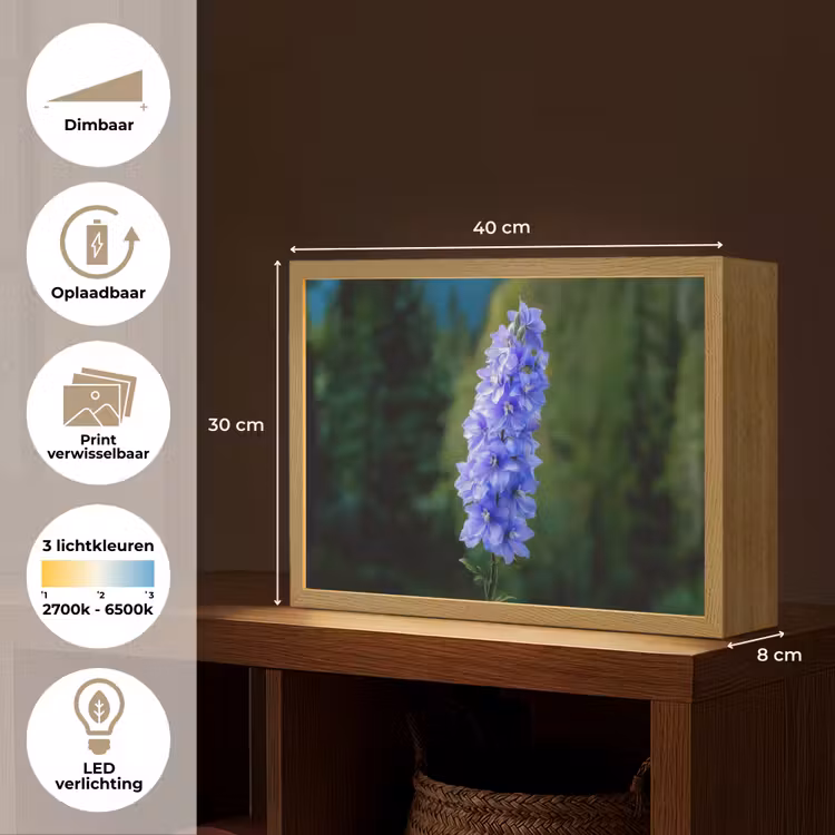 Lightbox - Wandlamp - Bloemen - Blauw - Dennenboom — 10