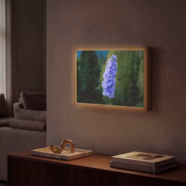 Lightbox - Wandlamp - Bloemen - Blauw - Dennenboom — 2