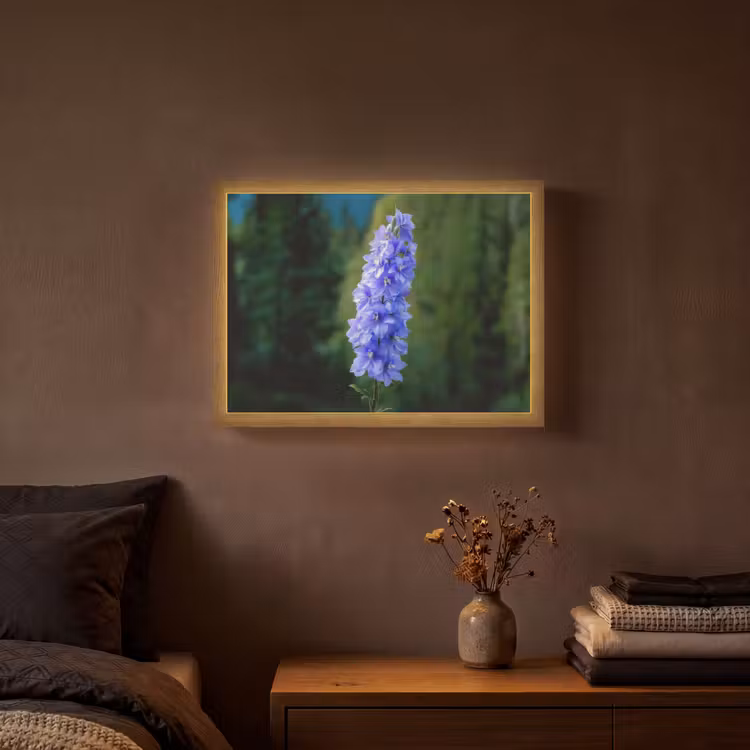 Lightbox - Wandlamp - Bloemen - Blauw - Dennenboom — 3
