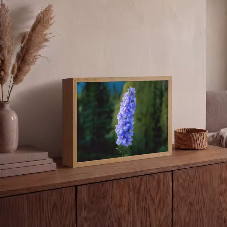 Lightbox - Wandlamp - Bloemen - Blauw - Dennenboom — 4