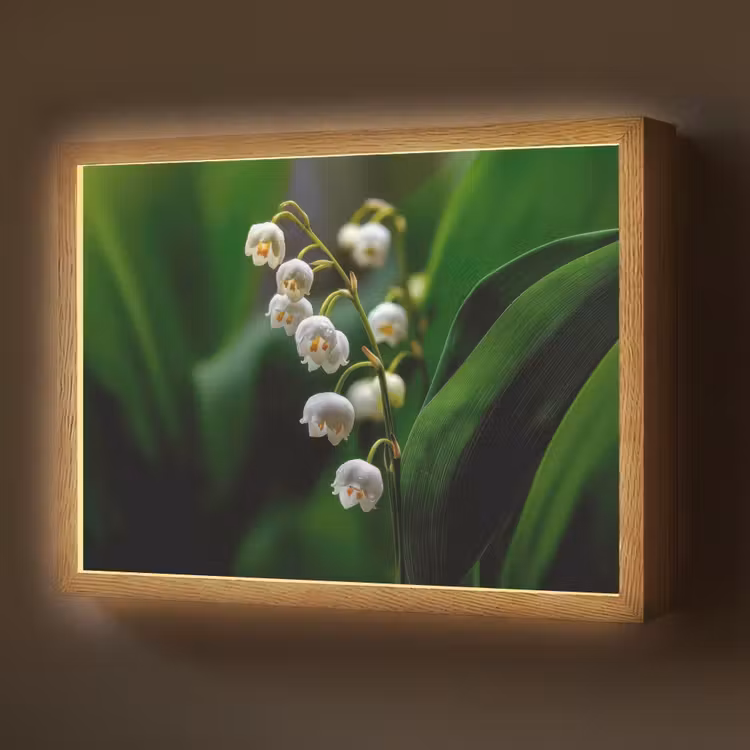 Lightbox - Wandlamp - Bloemen - Wit - Bladeren - Lelietjes — 1