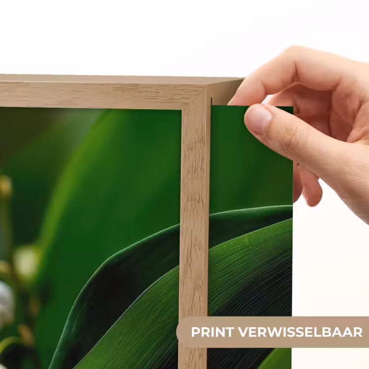 Lightbox - Wandlamp - Bloemen - Wit - Bladeren - Lelietjes — 5