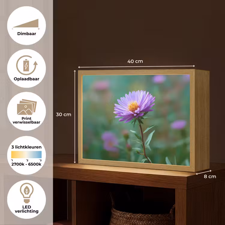 Lightbox - Wandlamp - Aster - Paars - Bloem - Blaadjes — 10