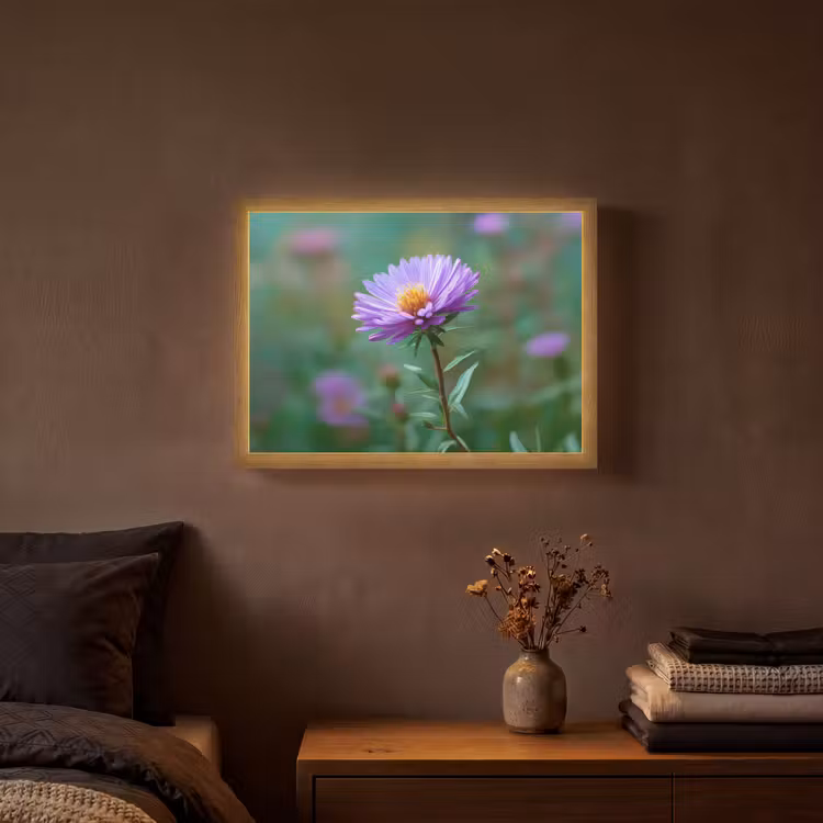 Lightbox - Wandlamp - Aster - Paars - Bloem - Blaadjes — 3