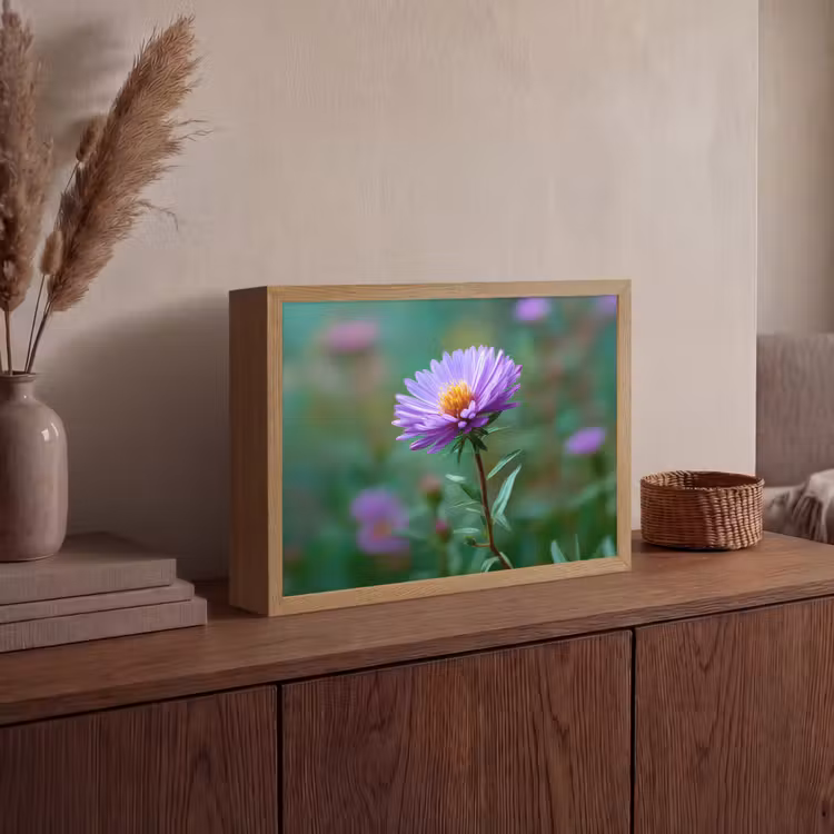 Lightbox - Wandlamp - Aster - Paars - Bloem - Blaadjes — 4