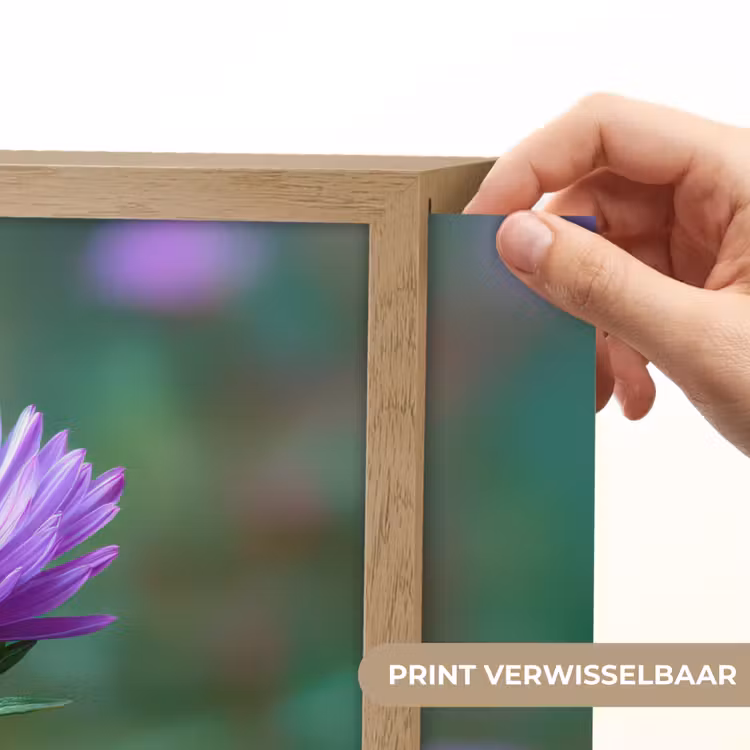 Lightbox - Wandlamp - Aster - Paars - Bloem - Blaadjes — 5
