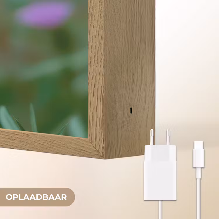 Lightbox - Wandlamp - Aster - Paars - Bloem - Blaadjes — 7