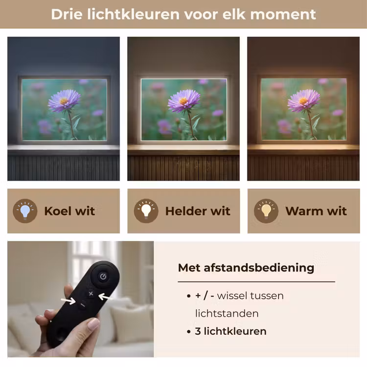 Lightbox - Wandlamp - Aster - Paars - Bloem - Blaadjes — 8