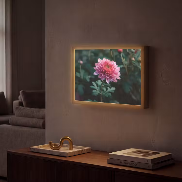 Lightbox - Wandlamp - Blad - Chrysant - Roze - Schaduw — 2