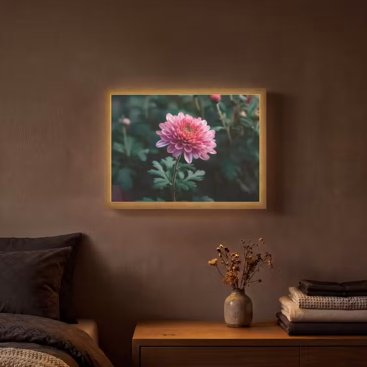 Lightbox - Wandlamp - Blad - Chrysant - Roze - Schaduw — 3