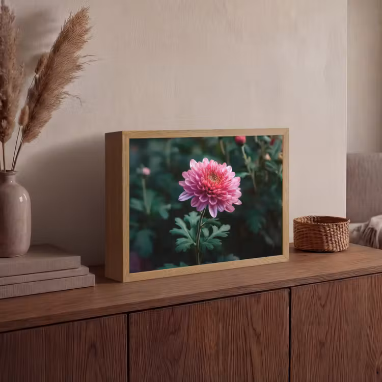 Lightbox - Wandlamp - Blad - Chrysant - Roze - Schaduw — 4