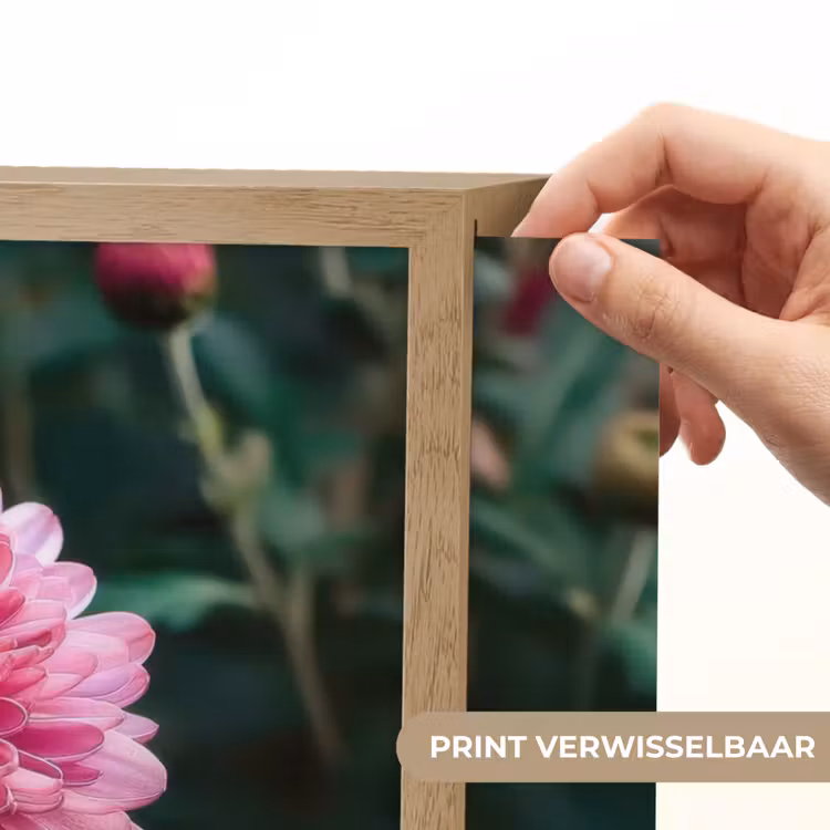 Lightbox - Wandlamp - Blad - Chrysant - Roze - Schaduw — 5