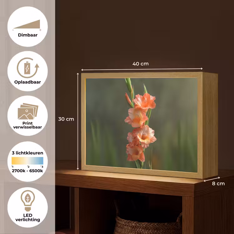 Lightbox - Wandlamp - Bloem - Gladiolen - Zalmroze — 10