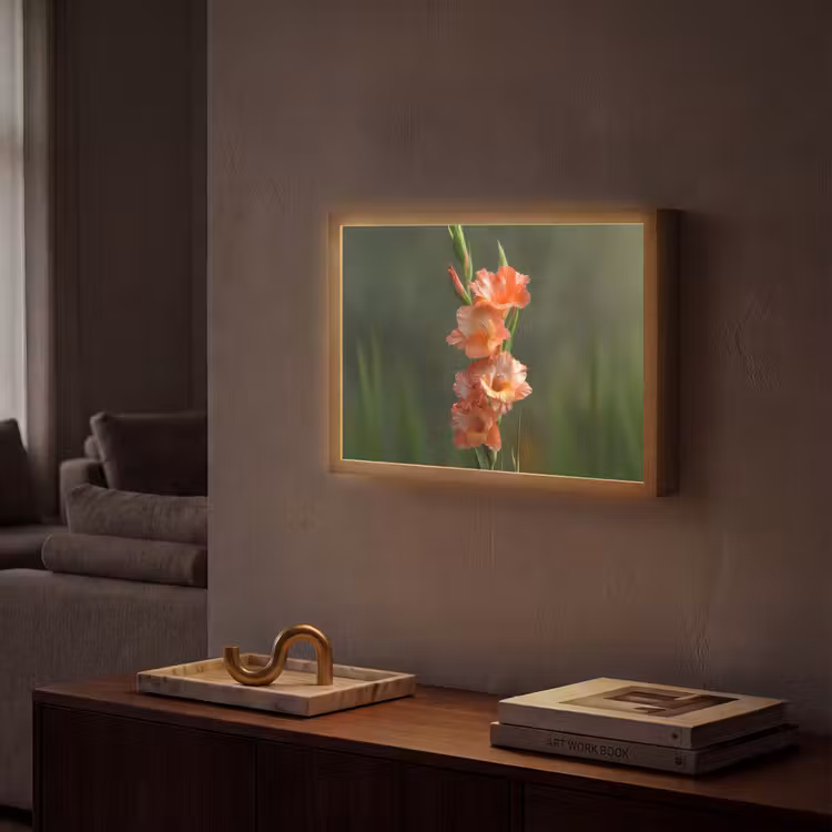 Lightbox - Wandlamp - Bloem - Gladiolen - Zalmroze — 2